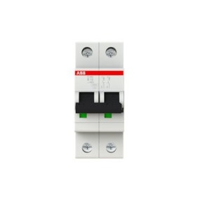 2CDS252001R0105 ABB S202-B10