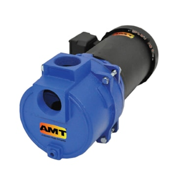 1626-308-00 AMT Pumps